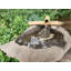 Grande fontaine à bec en bambou