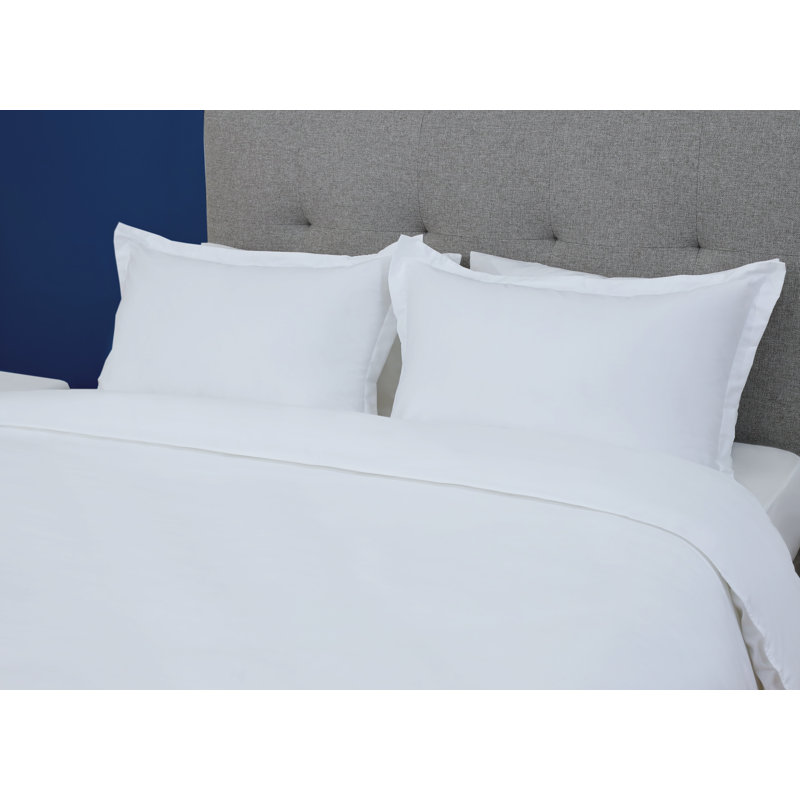Gryphon Collection Solid Fresh White Sham, Queen (21x31)