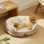 Lit pour chien et chat rond pour petits animaux de compagnie, nid lavable en peluche avec base antidérapante, intérieur-112669762-113029142