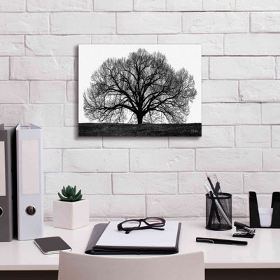 «The Tree On Canvas» par John Jones, reproduction
