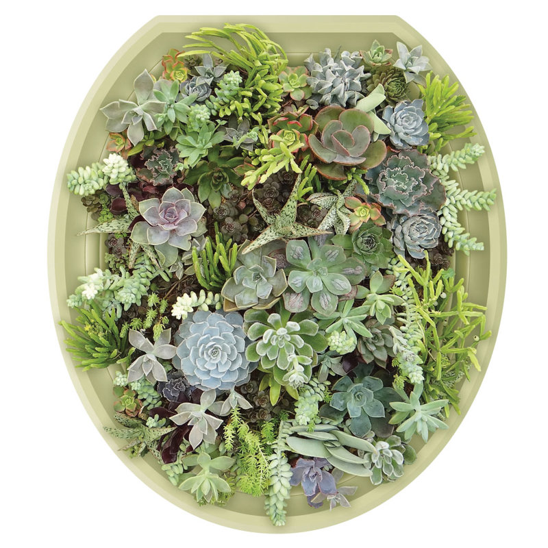 Adhésif décoratif pour siège de toilette Botanical Green Succulents, Rond