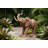 Triumphant Entry Elephant Statue