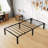 Twin Metal Bed Frame 16 Inch - No-Screw Assembly, Low Profile Platform Bed, No Box Spring, Heavy Duty Steel-2068984906