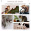 72cm H Cat Tree