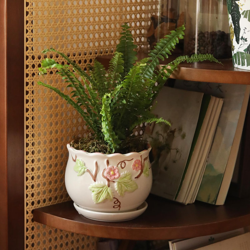 Pots à fleurs en céramique avec trous de drainage et soucoupes, pots à fleurs ronds pour plante d'intérieur, ensemble de 3 pots à fleurs rétro 4 / 5,2 / 6,6 pouces