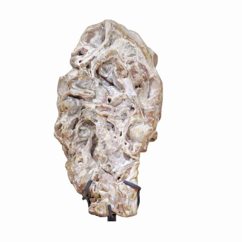 Fossil Scholar Stone Sculpture