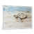 Floater Framed Print without Mat