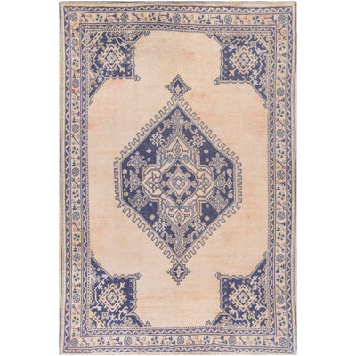 Sorry Not Sorry Oriental Indoor Rug