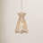Aaliyah 1 Light Pendant