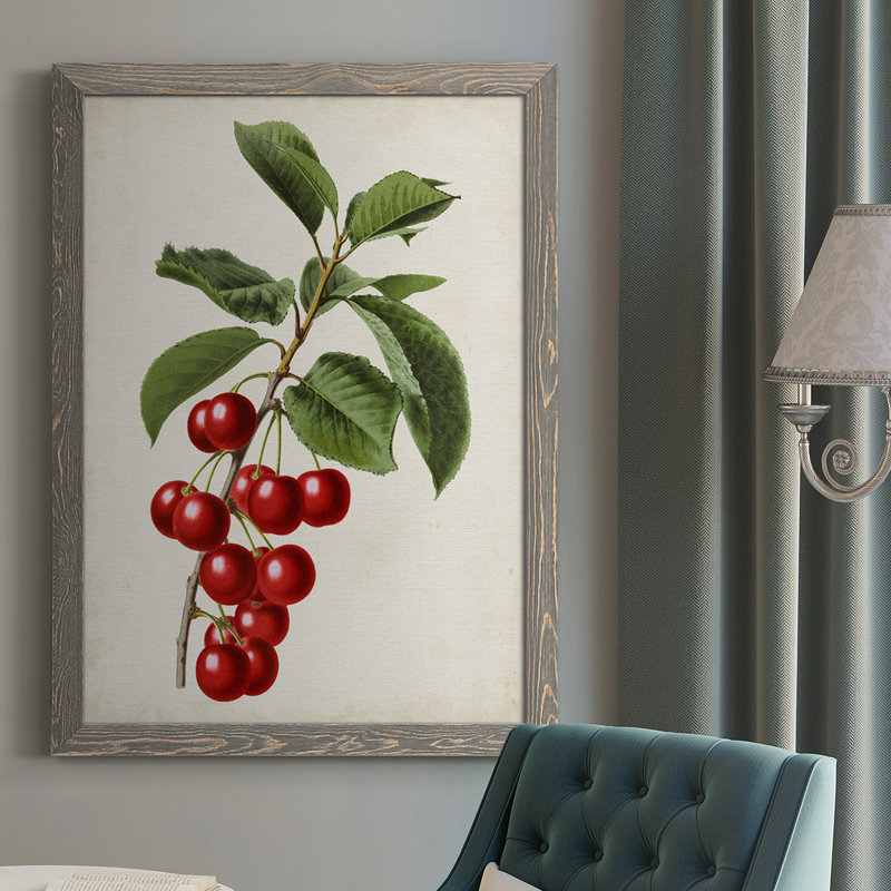 Antique Fruit II - Cadre photo unique, impression sur toile, H 37,5 po x l 27,5 po x P 1 po, Gris