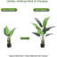 Plant-740876610