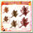 Winter Snowflake Cutouts 4" 100 Pieces Multicolor