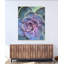 Succulent Center 2 Print by Joe Ruggiero