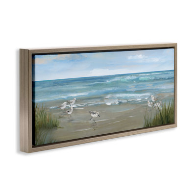 Vue du bécasseau sur un cadre flottant de plage, design par Nan