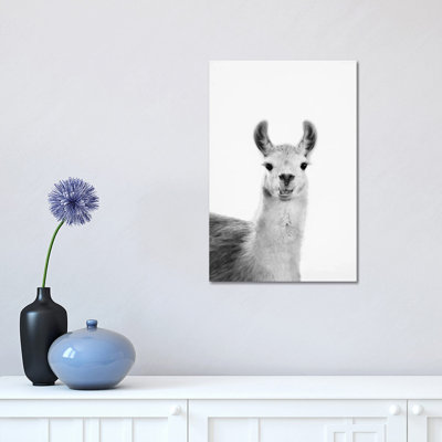 Happy Lama 1 Piece Wrapped Canvas Wall Art