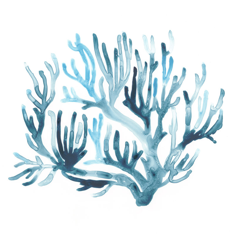" Azure Seafan III ", 12" H x 12" W x 1.25" D