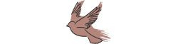EverSewn logo