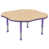Maple/Purple
