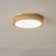 Kadeyn LED Flush Mount