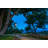Rainer 6 Light Outdoor Post Mounted Fixture in Black
