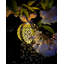 Daliya 28cm Solar Powered Integrated LED