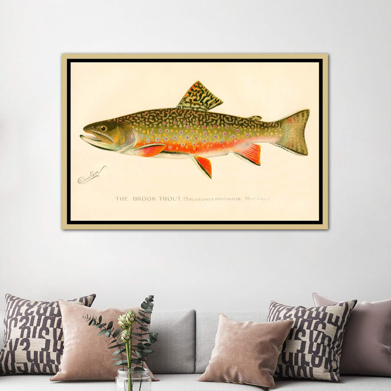The Brook Trout - impression d'art graphique, H 40 po x l 60 po x 1,5 po, Toile encadrée d'or