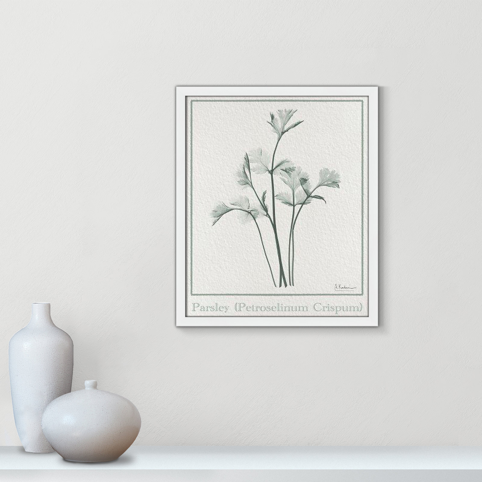 Jeanette "Parsley II" Print by Albert Koetsier, 19" H x 16" W x 1.25" D, Satin White Framed Paper