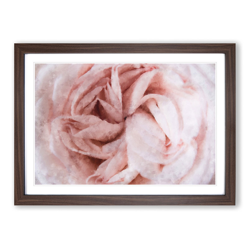 Petals of a Pink Carnation - Picture Frame Graphic Art Print, 24cm H x 33cm W x 2cm D, Walnut