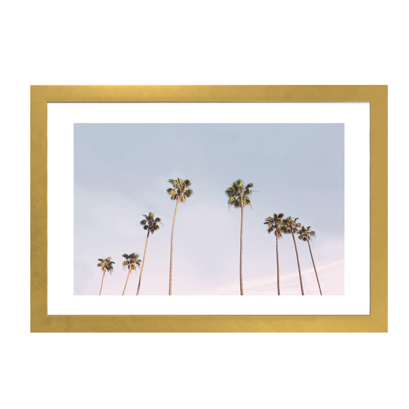 Photographie « california trees », H 24 po x l 32 po x P 1 po, Papier encadré doré