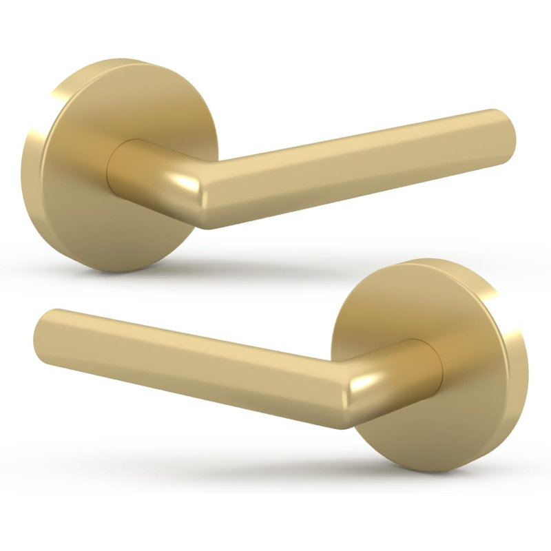 Bouton de porte intérieur réversible Mega Handles RONN avec rosette ronde pour garde-robe, garde-manger et portes françaises - Finition moderne en acier inoxydable