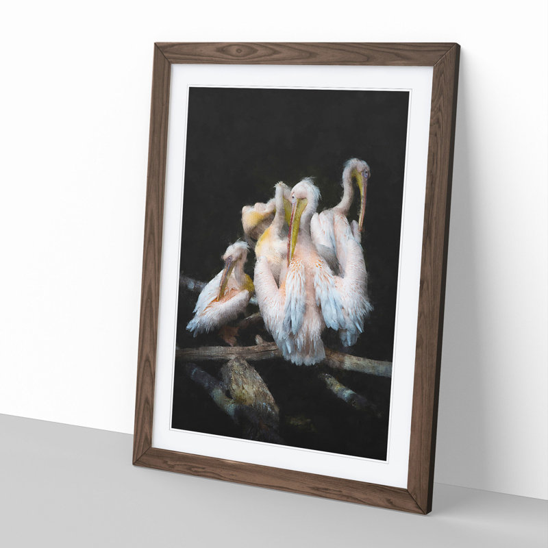 Pelicans - Framed Print, 65cm H x 48cm W x 2cm D, Walnut Framed
