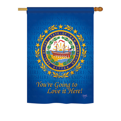 Double Sided Polyester House Flag