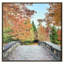 Afternoon Stroll - Floater Frame Print