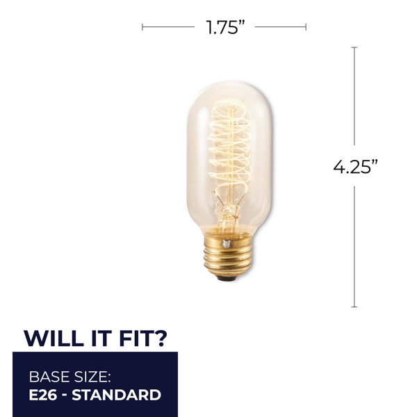 Ampoule vintage bulb Edison 40w E27 T9-185 à filament