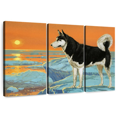 Brampt Husky Dog