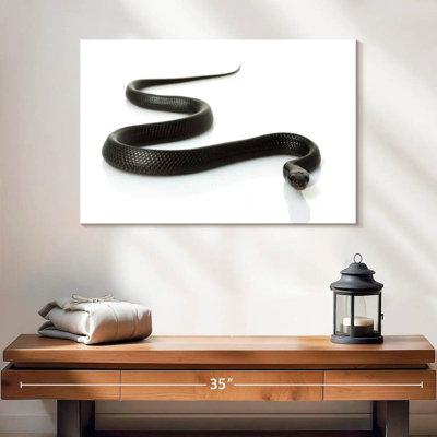 Brampt Eastern Indigo Snake