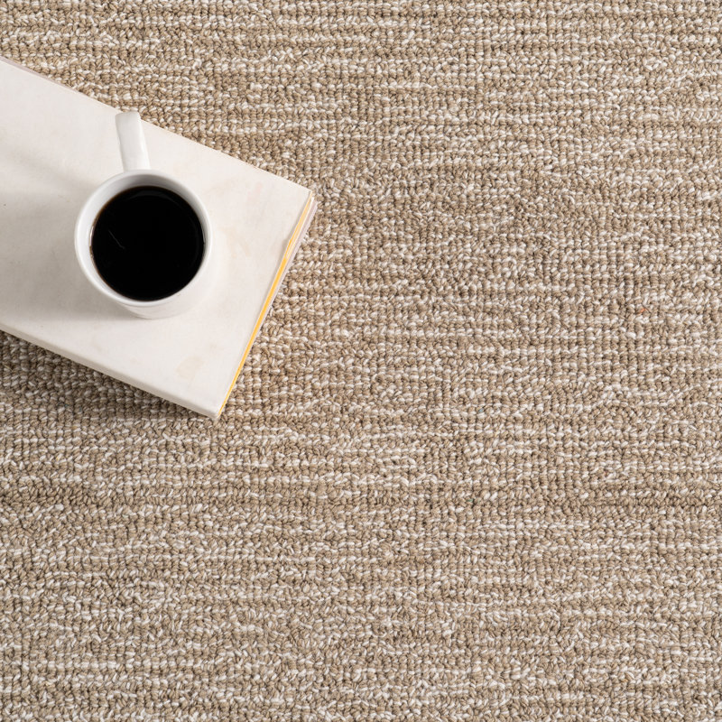  Elira Solid Bordered Area Rug, Rectangle 7'6" x 9'6"