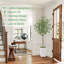 Arbre d'eucalyptus artificiel Paislee, faux eucalyptus avec grande jardinière blanche, feuilles réalistes-344450664