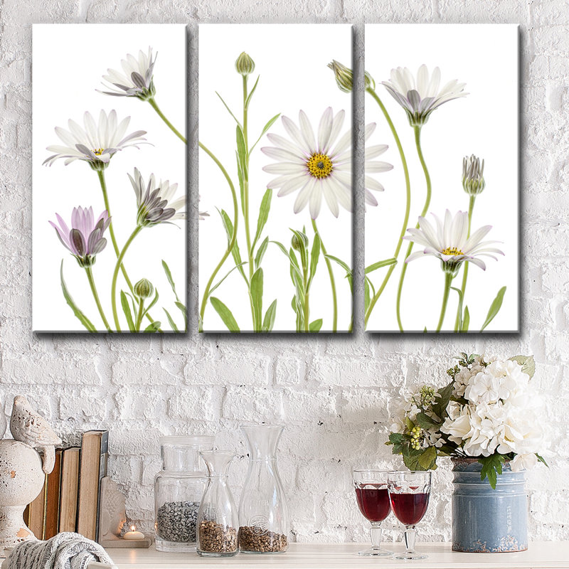 «Cape Daisies», reproduction de photo sur toile tendue 3 pièces, H 40 po x l 60 po x P 1,5 po