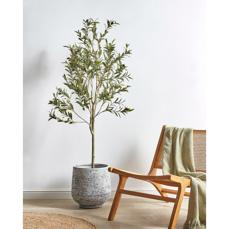 153cm Faux Olive Tree Tree in Plastic / Acrylic Planter