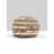 Sandstone Horizons selected