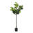 74'' Faux Fiddle Leaf Tree in Planter