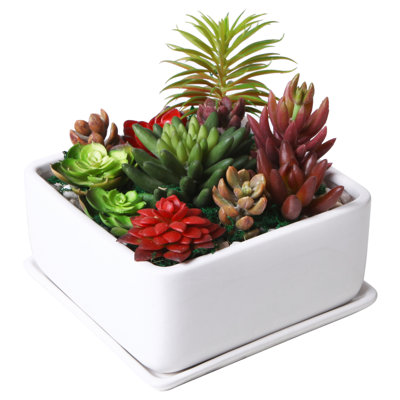 Pot Planter