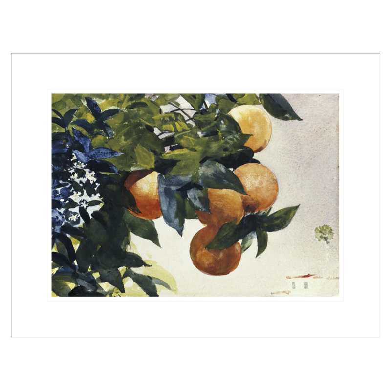 «Oranges on a Branch» par Winslow Homer, impression giclée encadrée, H 17,07 po x l 21,75 po