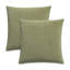 Gemma Velvet Square Pillow Cover & Insert-1449185793