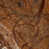 Brown selected