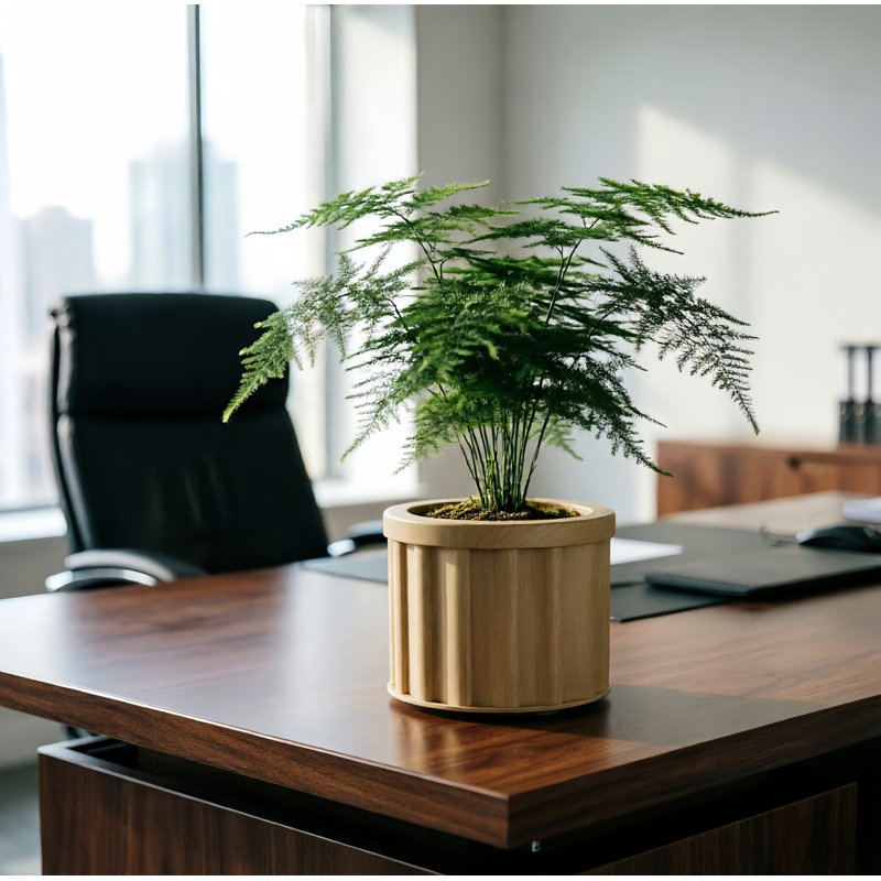 5 po H 6 po W Pot à fleurs rond en aluminium, H 5,13 po x l 6,25 po x P 6,25 po, Beige brun