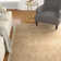 Patrick Performance Oriental Rug