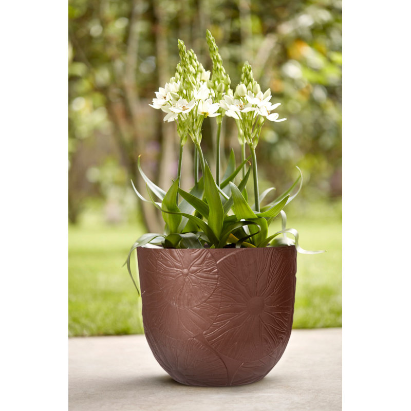 Plant Pot, Rusty Brown, 31.4 x 38 x 38