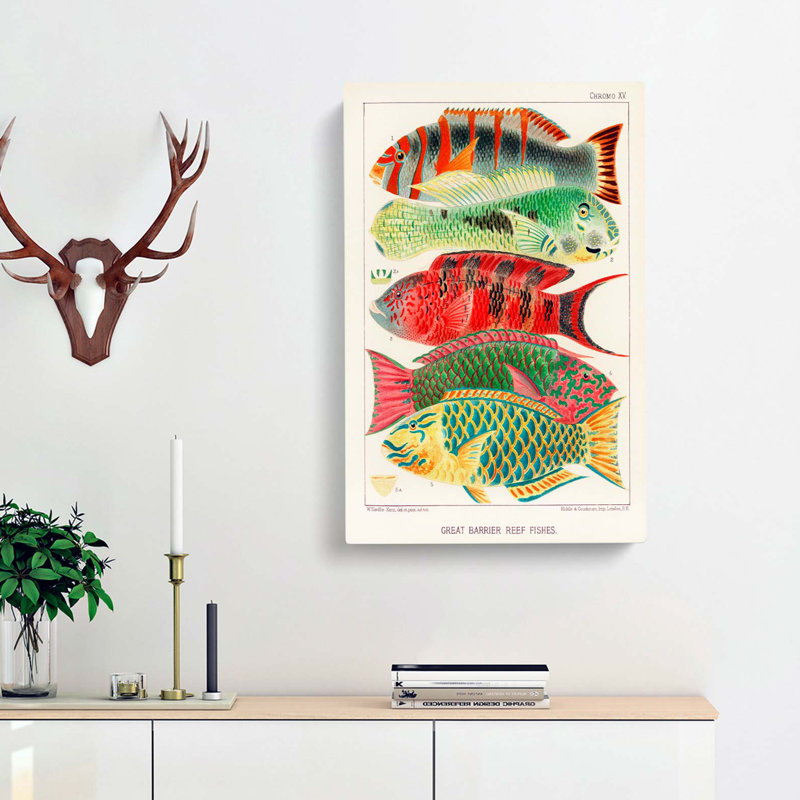 Great Barrier Reef Fishes by W. Saville-Kent - Wrapped Canvas, 60cm H x 40cm W x 3cm D